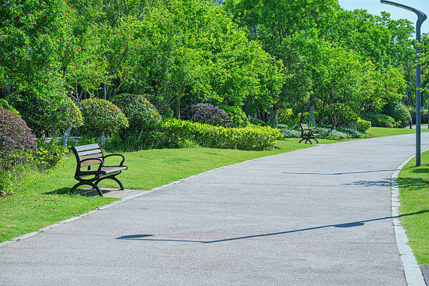 istock Curved footpath through the beautiful green city park 2221436035