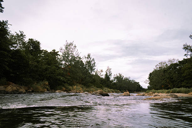 Cantingas River in Sibuyan, Romblon is a crystal-clear, emerald-water river nestled under towering Mt. Guiting-Guiting, offering natural diving platforms, lush forest surroundings, and being one of the cleanest inland waterways in the country