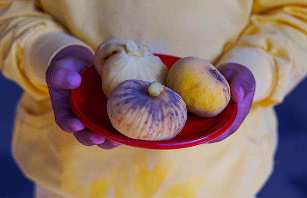The girl has a yellow fig in her hand