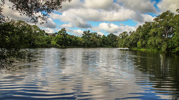 istock Picturesque summer river landscape with reflections and lush green trees. 2221447211