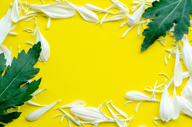 istock Yellow floral frame with leaf corners and blank copy space for text 2221449297
