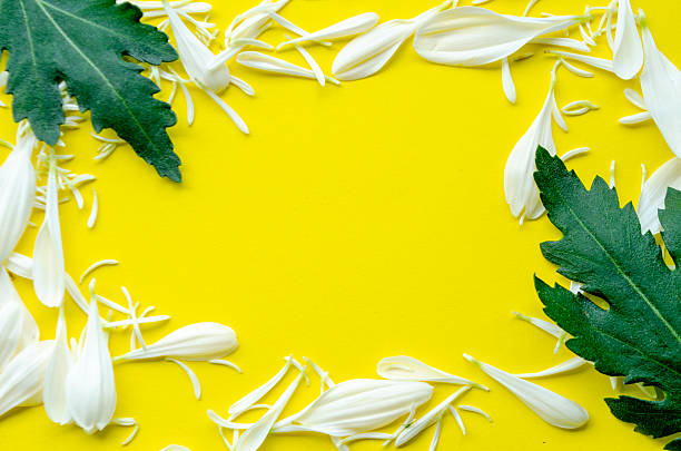 istock Bright yellow floral background with leaf border and copy space 2221449299