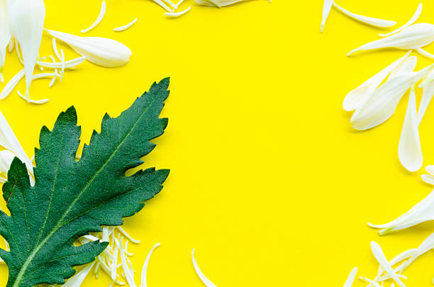 Floral yellow background with green leaf design and copy space