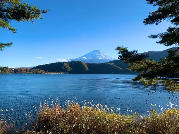 istock Tranquil Lake Kawaguchi and Mt Fuji 2221453107