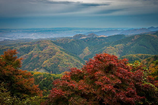 Tokyo cityscape and landscape  series stock photo.