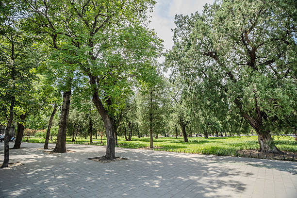 istock Picturesque City Park on a Sunny Day 2221455270