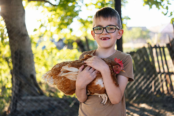 istock Child Hugging Chicken in Backyard Garden stock 2221455684