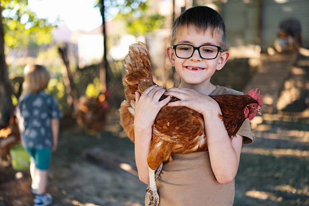 istock Boy Holding Chicken While Children Play in Background stock 2221455726
