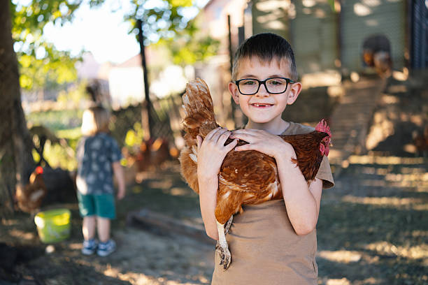 istock Proud Boy Showing Off His Chicken Outdoors stock 2221455727