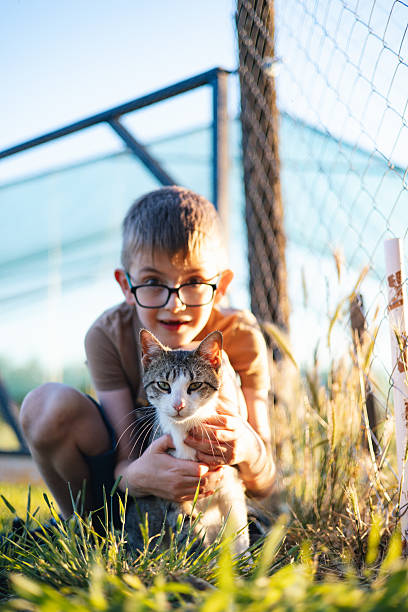 istock Young Child Playing with Kitten in Chicken Coop stock 2221455742
