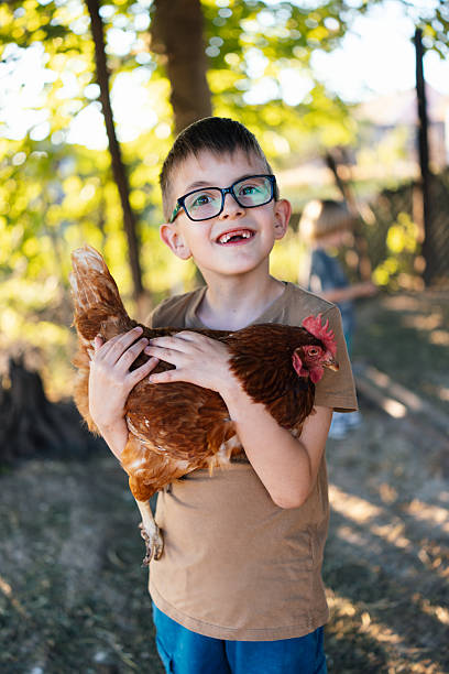 istock Boy in Glasses Holding Chicken and Smiling Outdoors stock 2221455743