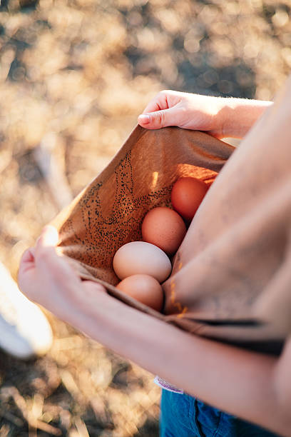 istock Hands holding a shirt of eggs close up stock 2221455832