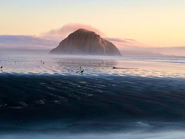 istock Dreamy Morro Bay Beach at Dusk 2221456303