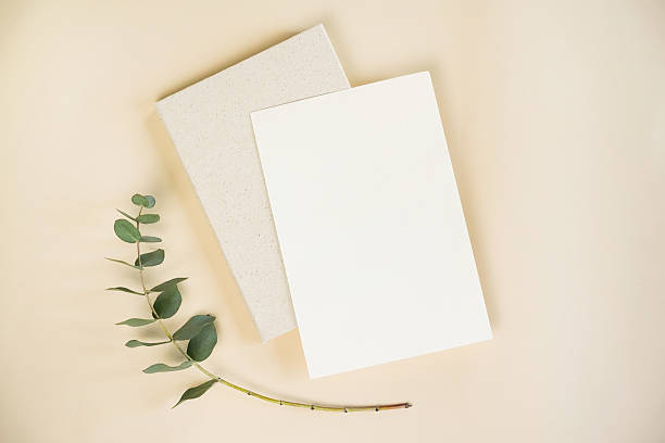 istock Natural elements arranged with blank sheets of paper on a soft surface for creative inspiration in a serene workspace 2221457730