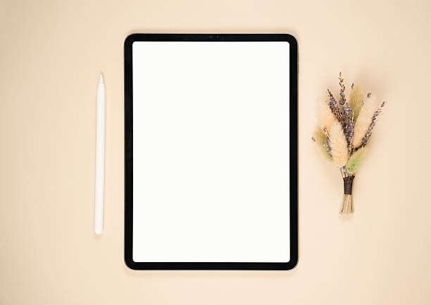 istock Minimalist workspace setup with tablet, stylus, and dried flowers on beige background 2221457748