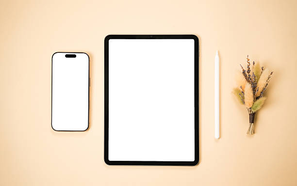 istock Minimal workspace with blank digital devices and dried flowers at midday 2221457756