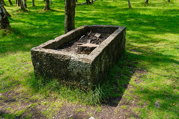London, UK - May 08, 2025 - A large stone tomb in a churchyard surrounded by lush greenery. Old grave in overgrown cemetery, use it as your Wallpaper, Poster and Space for text, Selective focus.