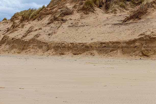 istock A sandy beach transitions into dunes with scrubby vegetation. 2221460904