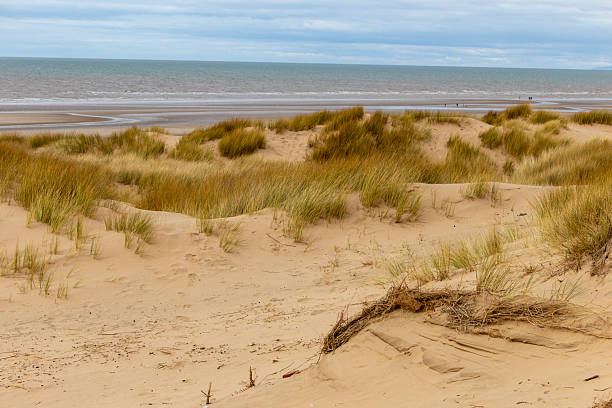 istock A sandy beach with grassy dunes leads to a calm, blue sea under a slightly overcast sky. 2221460963