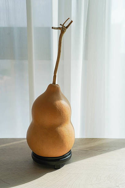 istock Dry calabash gourds as ornamental objects for decoration purposes on table 2221461186