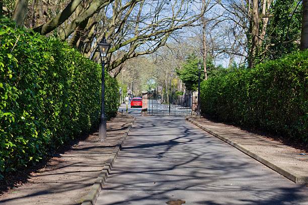 istock A tree-lined street with trimmed hedges casts shadows on the road. 2221462354
