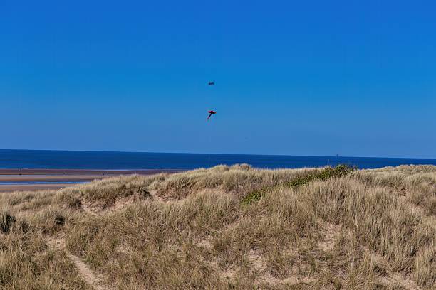 istock A sandy beach with dune grass meets the ocean under a clear blue sky. 2221462429