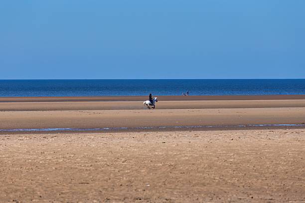 A lone figure stands on a vast, sandy beach under a clear blue sky in Formby - Merseyside - Great Britain
