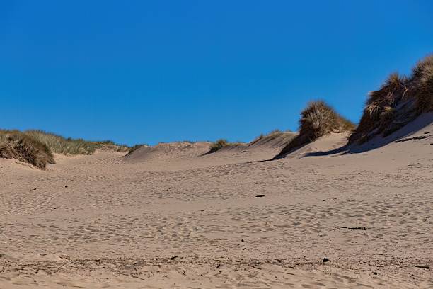 istock A sandy landscape meets a clear blue sky. 2221462477