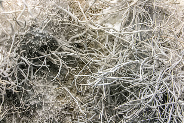 White aragonite with many threads, close up