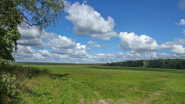 istock Summer rural landscape with green field and blue cloudy sky 2221465352