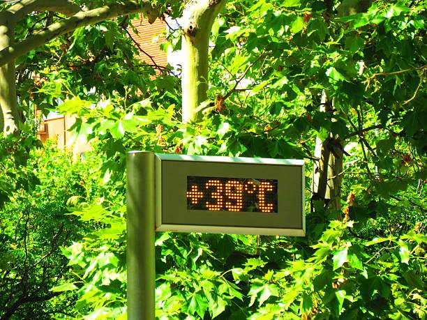 39 degrees celsius in the city