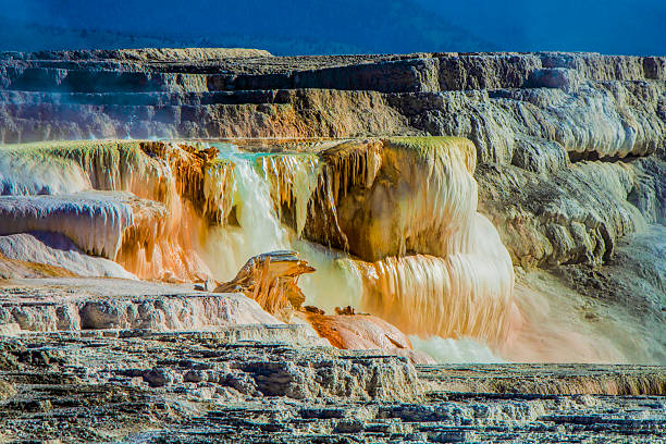 Mammoth Hot Springs, Yellowstone National Park, colorful layers of calcium deposits, thermal pools and rising steam.  Bright sunshine on an early summer morning.