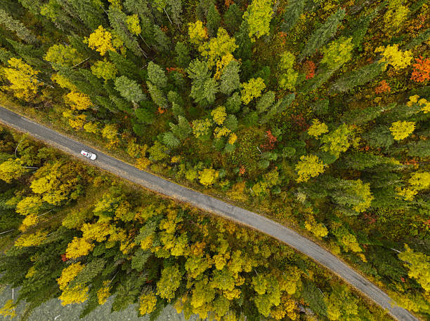 istock Car on winding road through vibrant autumn forest 2221468422