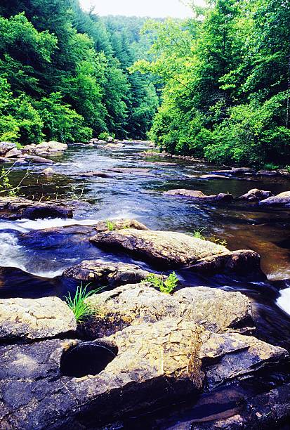 istock Conasauga River or Jacks Fork in the Cohutta Wilderness Area Chattahoochee National Forest Georgia 2221471125