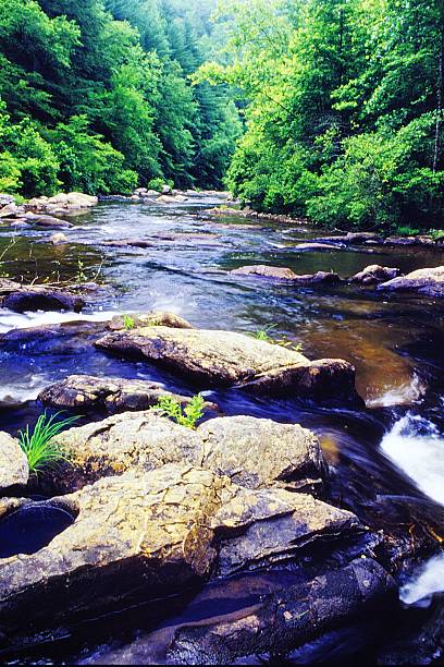 istock Conasauga River or Jacks Fork in the Cohutta Wilderness Area Chattahoochee National Forest Georgia 2221471131