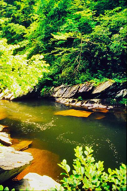 istock Conasauga River or Jacks Fork in the Cohutta Wilderness Area Chattahoochee National Forest Georgia 2221471249