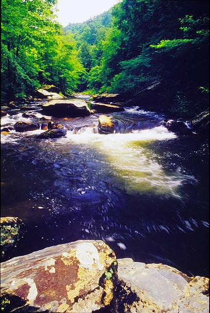 istock Conasauga River or Jacks Fork in the Cohutta Wilderness Area Chattahoochee National Forest Georgia 2221471253