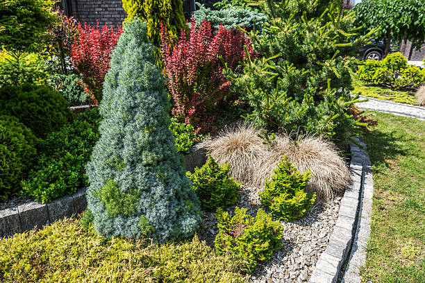 istock Beautiful Garden Landscape Featuring Various Shrubs and Greenery in Daylight 2221471758