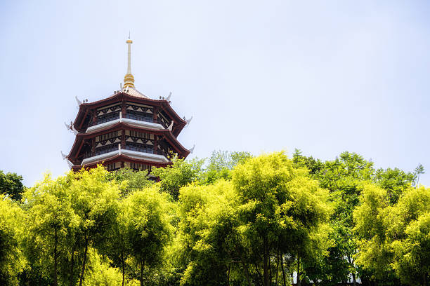 istock Ancient Pagoda Amidst Lush Green Trees 2221471859