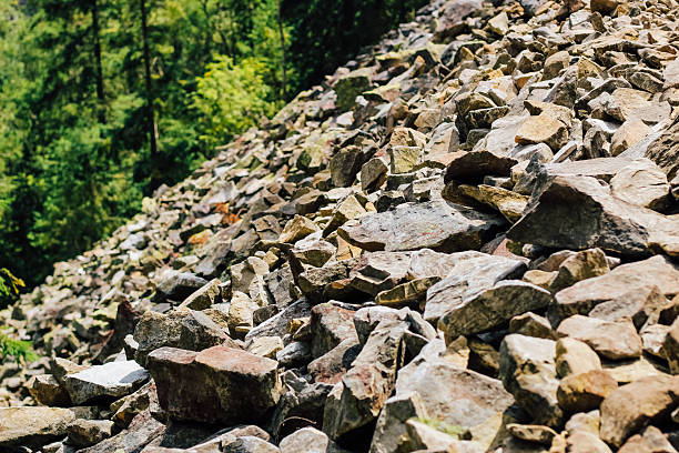 Various sizes of rocks scattered across a sloping hillside surrounded by vibrant green trees during daylight.