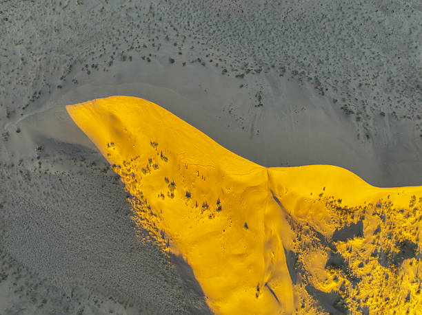 A top-down aerial view highlights the golden curves and textures of the Singing Barkhan, a large sand dune, under sunlight