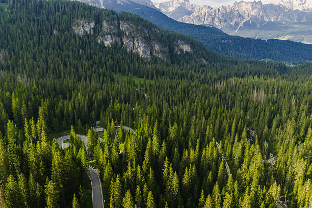 istock Winding Road Through Lush Forest With Mountains in the Background During Summer. Dolomites Italy. 2221473251