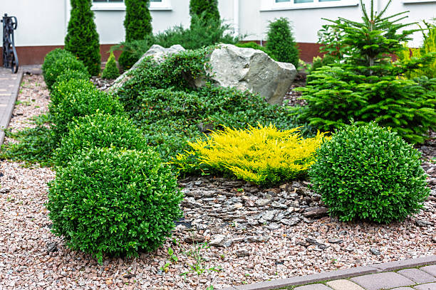 istock Modern Rock Garden with Evergreen Bushes 2221476600