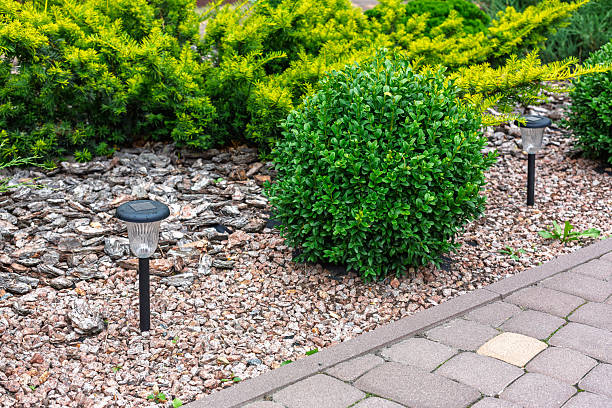 Small Solar Garden Light In Lawn at Night