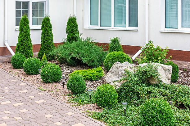 istock Modern Rock Garden with Shrubs and Pathway 2221476612