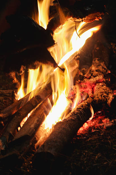 A captivating close-up view of a campfire at night, showcasing bright flames consuming wood logs, radiating warmth and light. Perfect for concepts of camping, survival, warmth, and the great outdoors