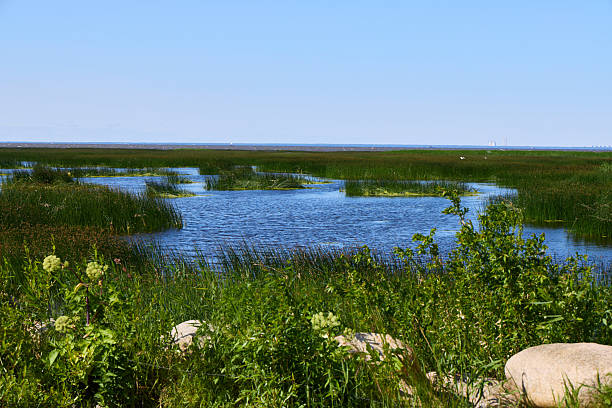 istock A beautiful scenic waterway surrounded by lush greenery, under a clear and blue sky 2221478440