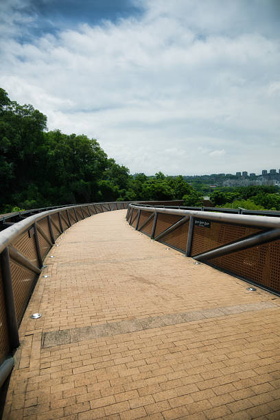 Winding Pathway in an Urban Park