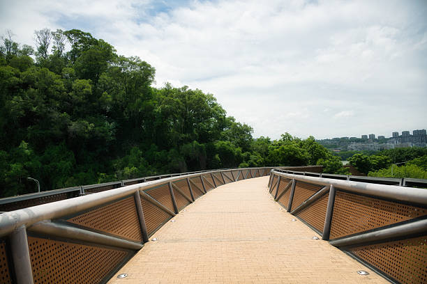 istock Urban Greenway and Natural Scenery 2221479030