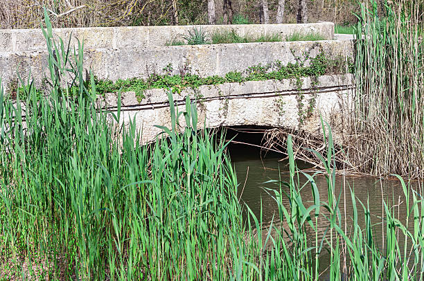 Small stone bridge with an arched opening, surrounded by tall reeds and a shallow stream. Vegetation grows on the bridge, blending it into the natural landscape